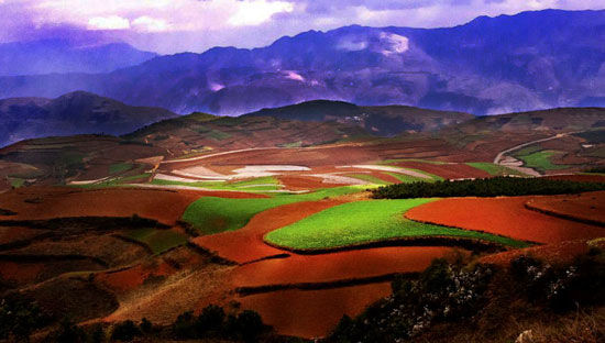 云南东川红土地